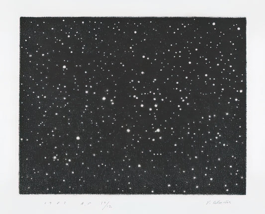 Vija Celmins Prints for Sale: A Collector's Guide to Her Meditative Universe - MOUNT HOLYOKE 1987 by Vija Celmins