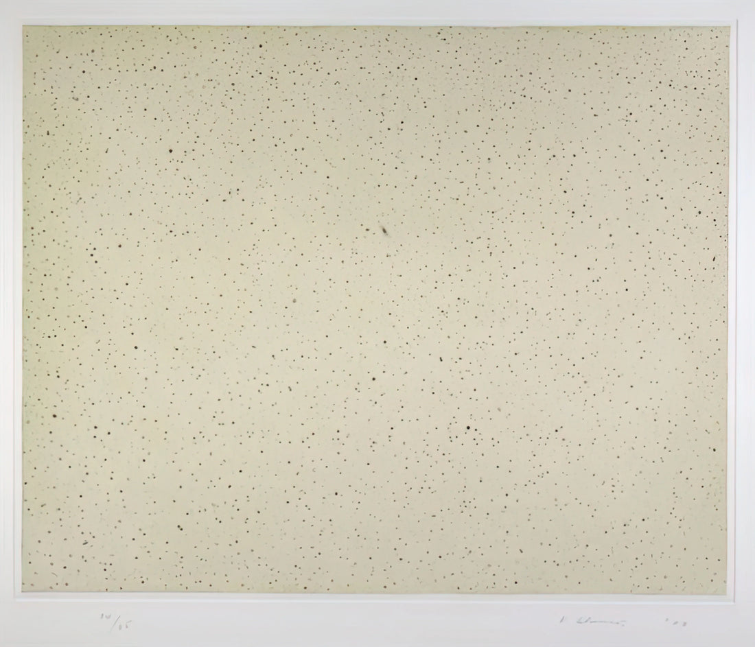Vija Celmins Studio: The Meditative Precision of a Contemporary Master - NIGHT SKY 2 REVERSED 2002 by Vija Celmins
