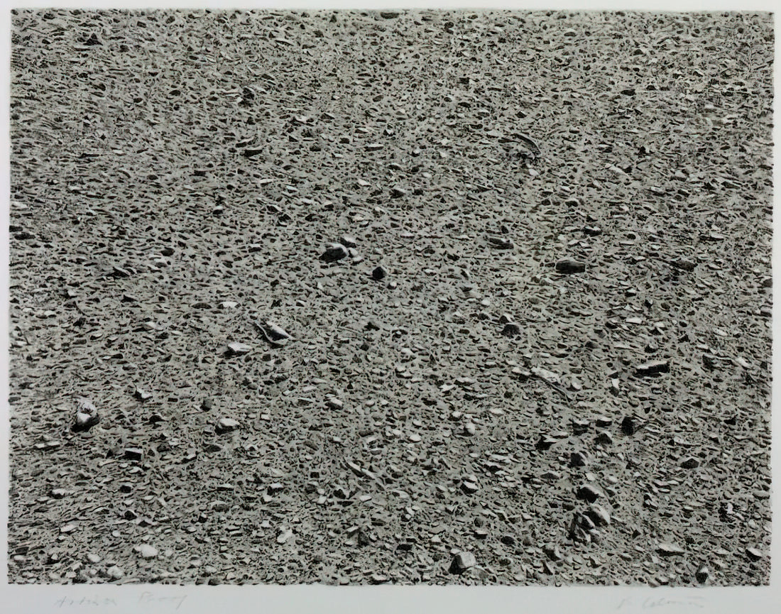 Vija Celmins Waves: The Ocean's Timeless Gaze in Hyperrealist Printmaking - DESERT 1975 by Vija Celmins