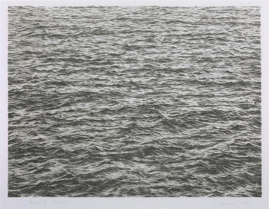 Vija Celmins Work: The Meditative Precision of Nature's Patterns - OCEAN 1975 by Vija Celmins