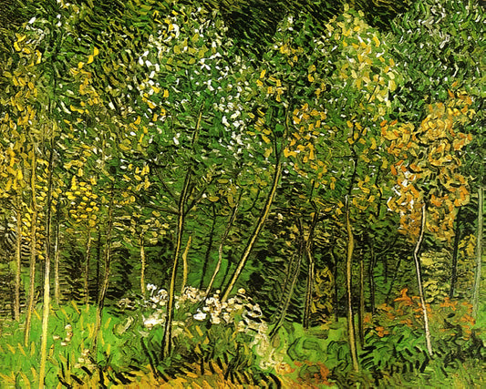 Vincent van Gogh Almond Blossom Canvas: A Masterpiece of Hope and Renewal - The Grove by Vincent van Gogh