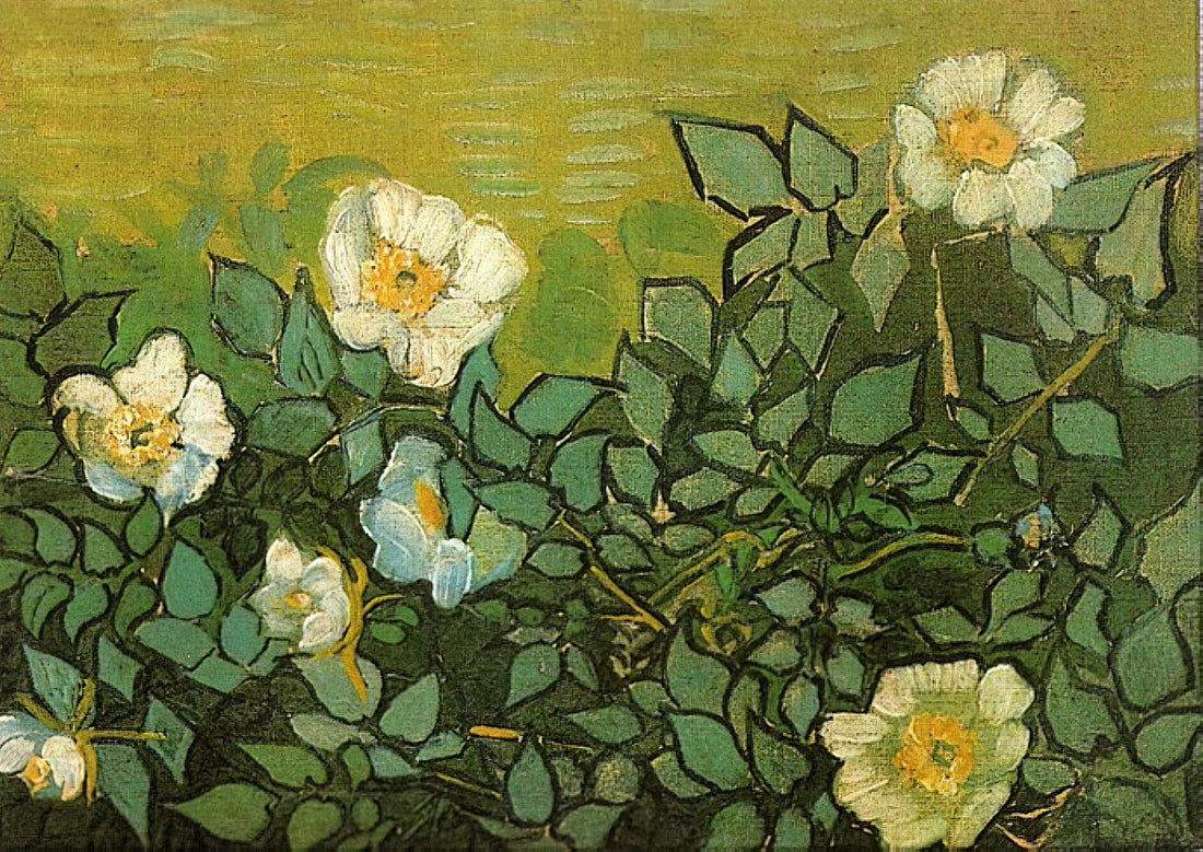 Vincent van Gogh Letters to Theo: The Intimate Correspondence That Illuminates an Artist's Soul - Wild Roses by Vincent van Gogh