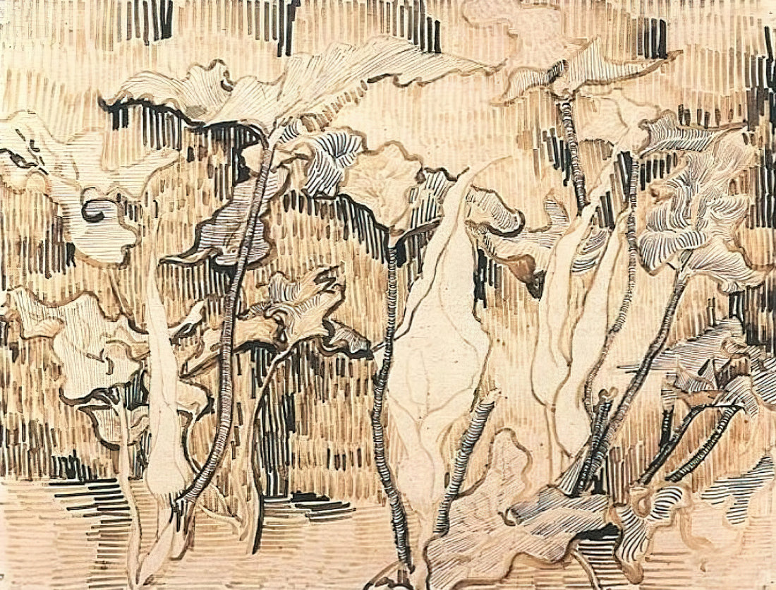 Vincent van Gogh Sketchbook: The Private World of a Genius Revealed - Arums by Vincent van Gogh
