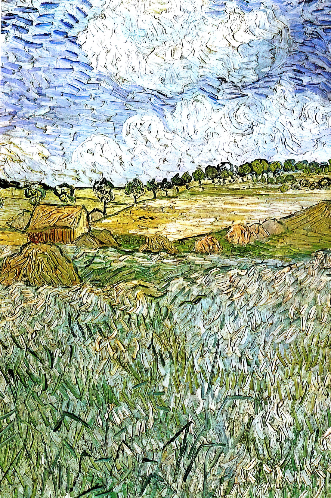 Vincent van Gogh Starry Night Price: Understanding Value, Investment, and Museum-Quality Prints - The Plain at Auvers by Vincent van Gogh
