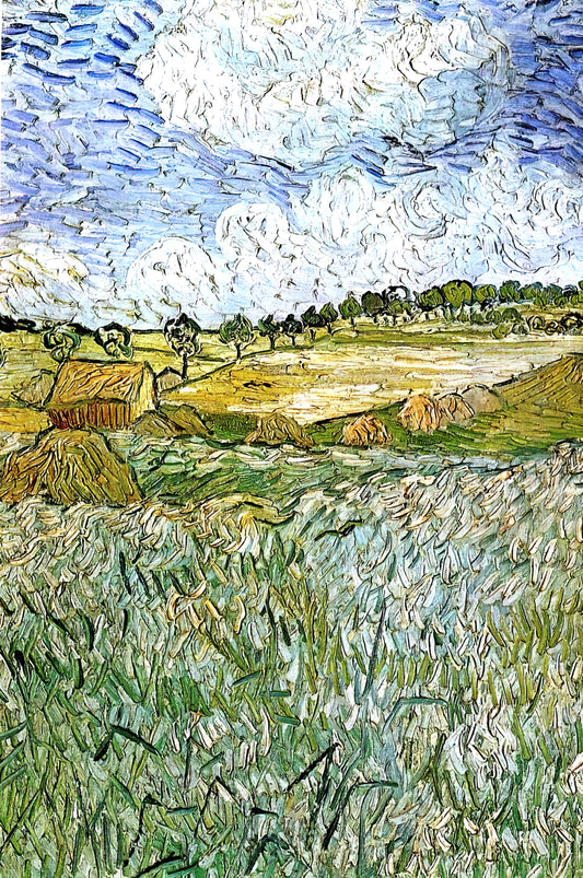 Vincent van Gogh Starry Night Price: Understanding Value, Investment, and Museum-Quality Prints - The Plain at Auvers by Vincent van Gogh
