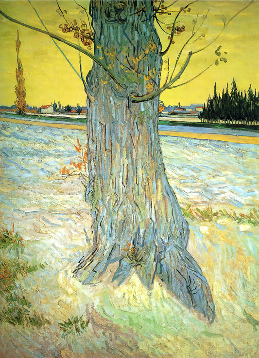 Wer war Anna Cornelia van Gogh? Die Geschichte der Mutter von Vincent van Gogh