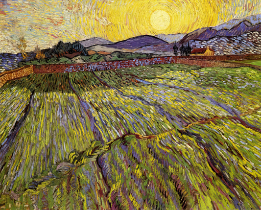 Was verraten uns die Briefe von Vincent van Gogh über den Künstler?