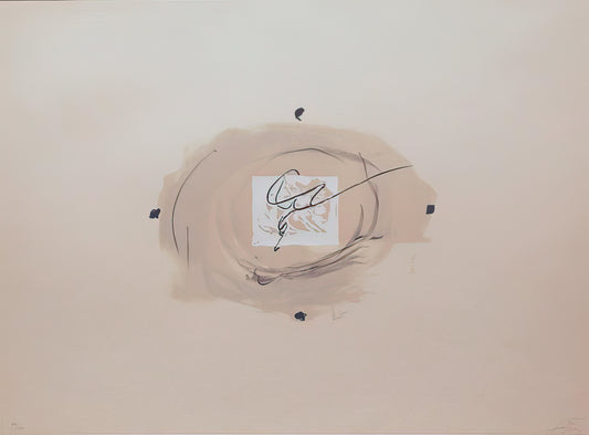 Was ist die Fundació Antoni Tàpies und warum ist sie wichtig für die Kunstwelt?