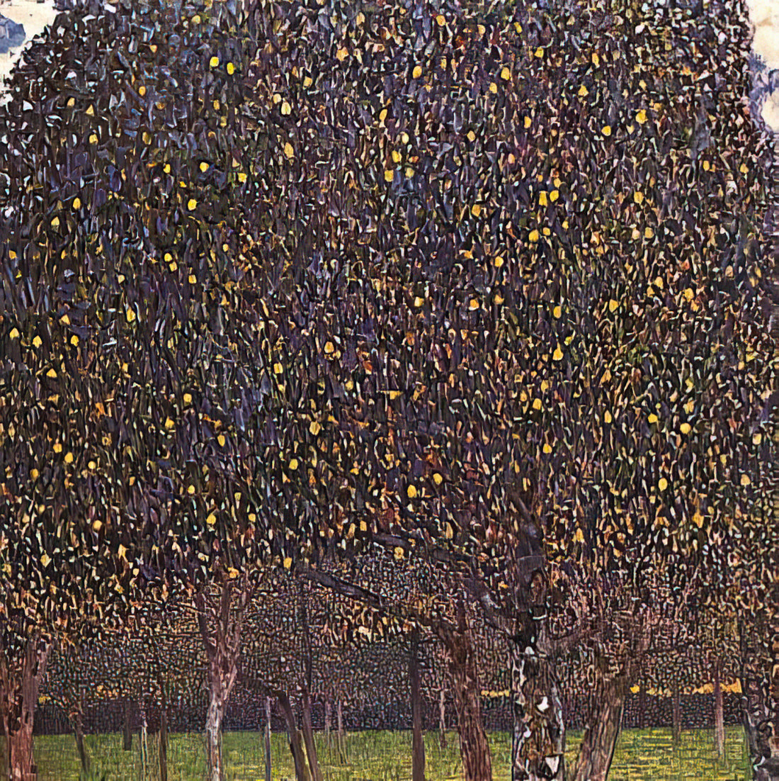 Wer ist Fritza Riedler in Gustav Klimts berühmten Porträt?