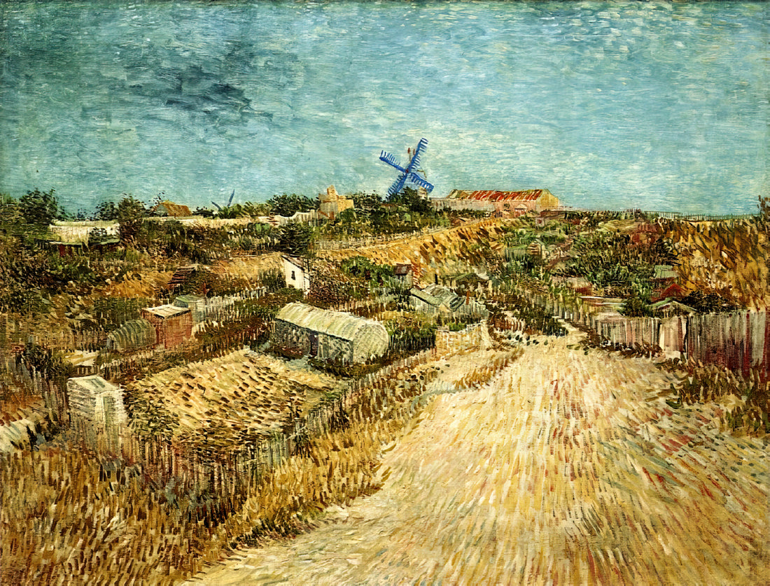 Was macht Van Goghs Mohnfeld so besonders?
