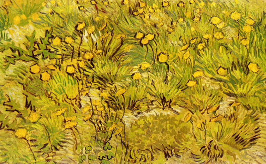 Was macht Van Goghs Olivenhain so besonders?