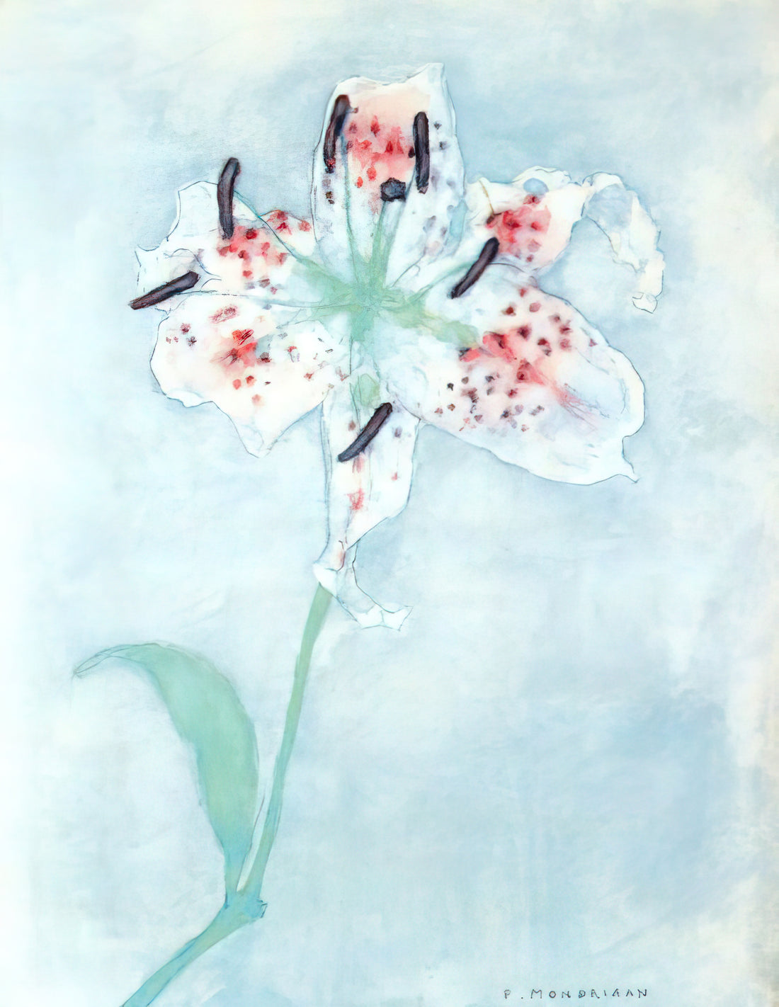 Piet Mondrian und die Arum-Lilie: Eine Hommage an die Natur durch die Linse der Abstraktion