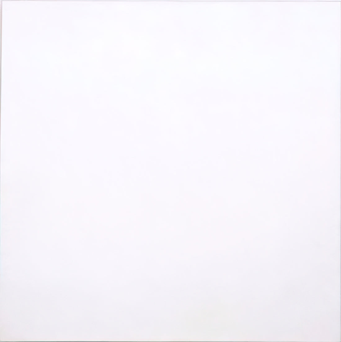 How Much Do Robert Rauschenberg's White Paintings Cost in 2024?