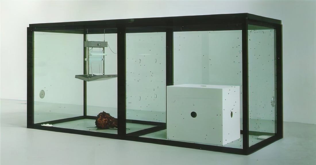 Was macht die Schädel-Darstellungen von Damien Hirst so faszinierend?