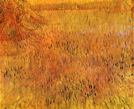 Was passierte mit Vincent van Gogh im Jahr 1885?