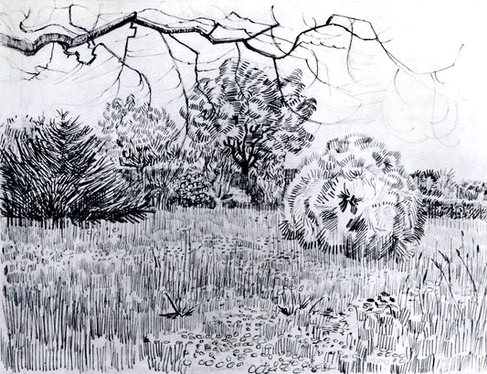 Was macht Van Goghs Lithographien so besonders?