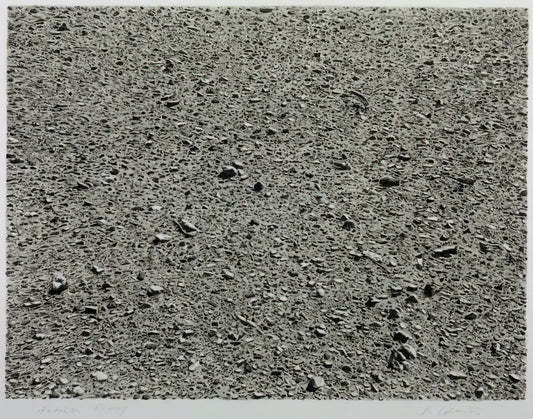What Makes Vija Celmins’ *Desert* (1975) a Masterpiece of Minimalist Precision?