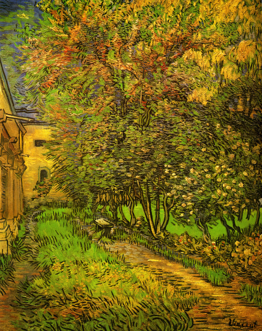 Vincent van Gogh: Meisterwerke auf Amazon entdecken