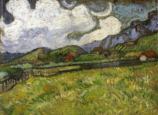 Vincent van Goghs Schwertlilien: Eine Hommage an die Natur