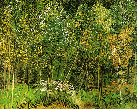 Vincent van Gogh und Theo van Gogh: Eine tiefe Verbindung zwischen zwei Brüdern