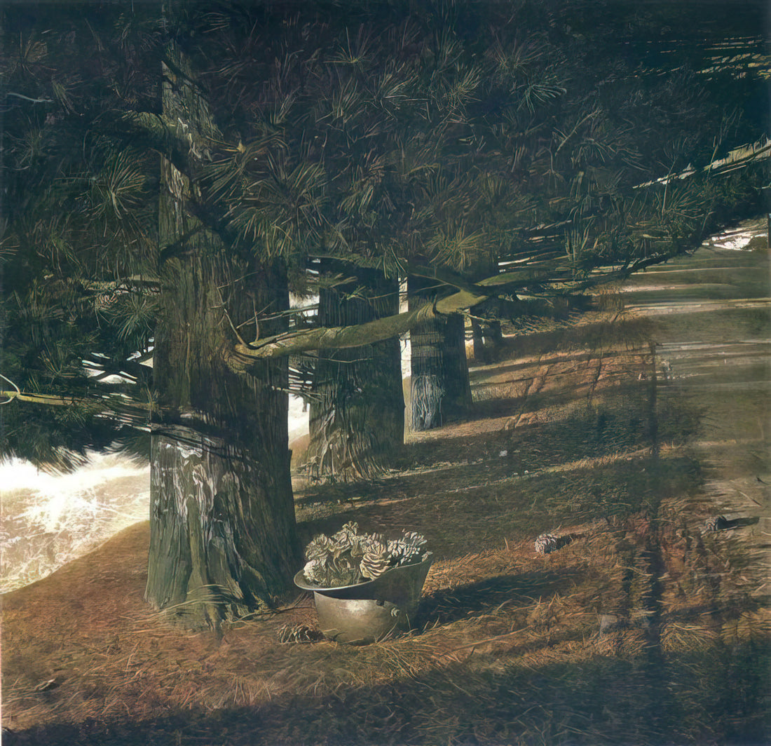 Wer war Andrew Wyeth und warum ist er einer der bedeutendsten Maler des 20. Jahrhunderts?