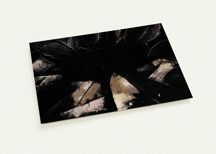 Jay DeFeo/BIG/Cabbage Rose By Jay DeFeo Pack of 10 Post Cards | Jay DeFeo Post Cards | A6 (10.5 x 14.8 cm) - 4.1 x 5.8 inches