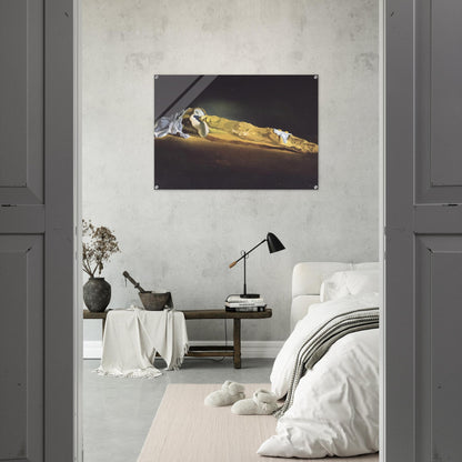 ORDINARY FRENCH LOAF WITH TWO FRIED EGGS - Salvador Dali Acrylic Print - 70x100 cm / 28x40″ inches