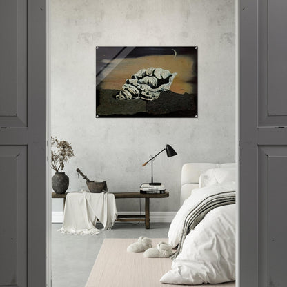 SHELL - Salvador Dali Acrylic Print - 70x100 cm / 28x40″ inches