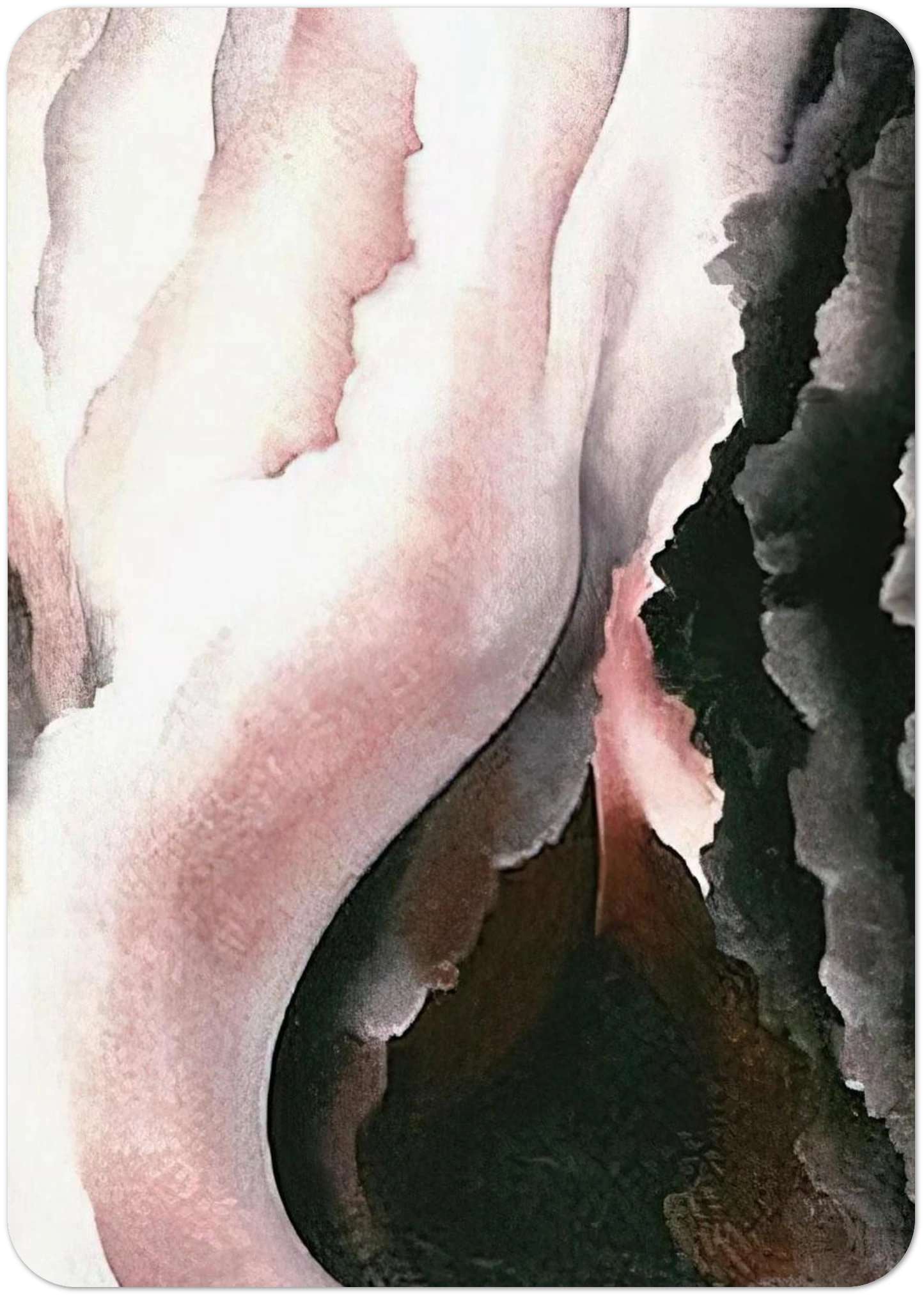 Dark Iris ?2 By Georgia O'Keeffe Pack of 10 Post Cards | Georgia O'Keeffe Post Cards | A6 (10.5 x 14.8 cm) - 4.1 x 5.8 inches