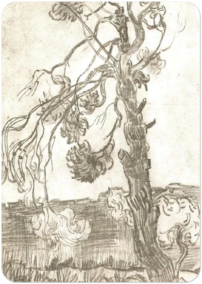 A Weather-Beaten Pine Tree By Vincent van Gogh Pack of 10 Post Cards | Vincent van Gogh Post Cards | A6 (10.5 x 14.8 cm) - 4.1 x 5.8 inches