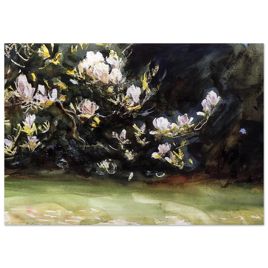 Magnolias - John Singer Sargent Brushed Aluminum Print - 70x100 cm / 28x40 inches | John Singer Sargent Aluminum Print | John Singer Sargent Prints