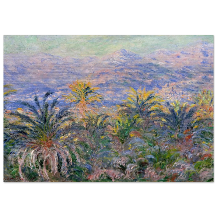 Palm Trees at Bordighera - claude monet Brushed Aluminum Print - 70x100 cm / 28x40 inches | claude monet Aluminum Print | claude monet Prints