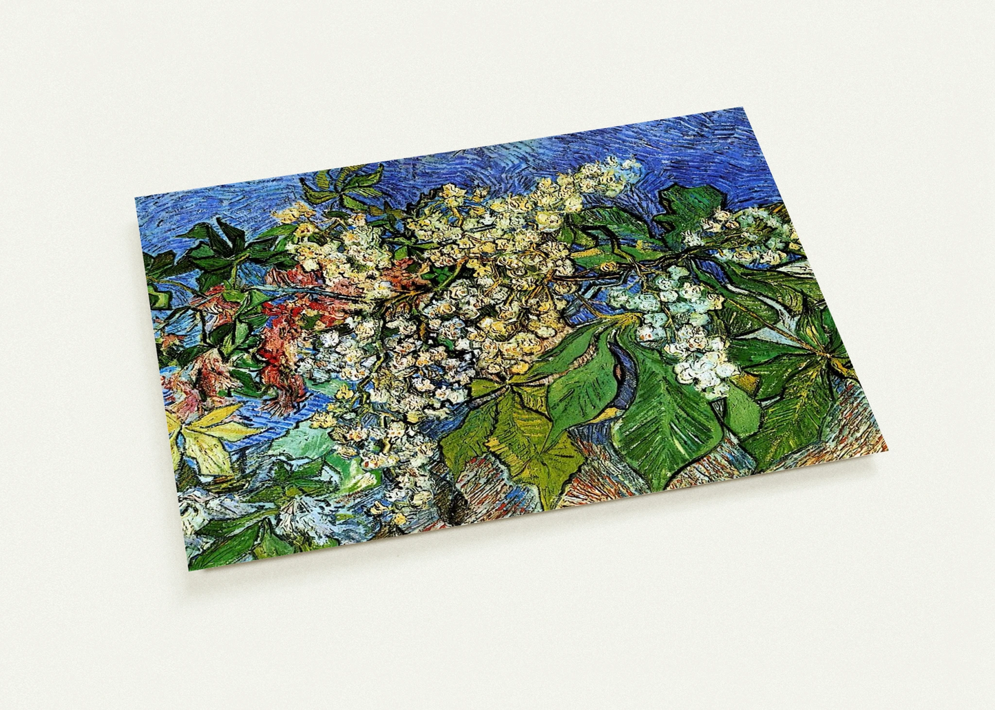 Blossoming Chestnut Branches By Vincent van Gogh Pack of 10 Post Cards | Vincent van Gogh Post Cards | A6 (10.5 x 14.8 cm) - 4.1 x 5.8 inches