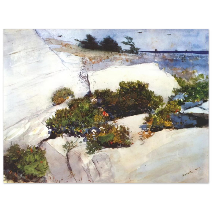 Winslow Homer - MAINE CLIFFS  75x100 cm / 30x40inches Fine Art Poster