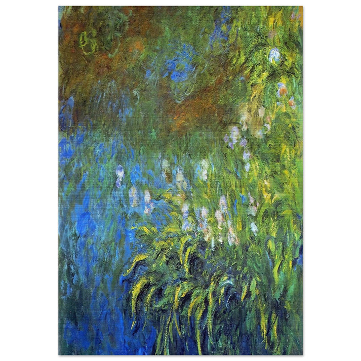 Iris at the Sea-Rose Pond - claude monet Brushed Aluminum Print - 70x100 cm / 28x40 inches | claude monet Aluminum Print | claude monet Prints