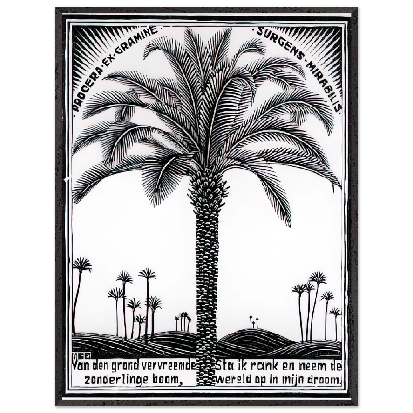 MC Escher - PALM TREE 1 Wall Art - 60x80 cm / 24x32 inches - Premium Wooden Framed Poster With Fine Art Paper-canvas - Black frame