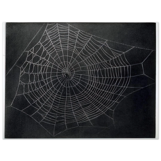 Vija Celmins - UNTITLED SPIDER WEB 2000  75x100 cm / 30x40inches Fine Art Poster