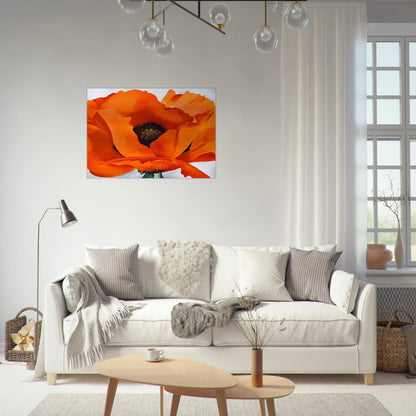 Red Poppy - Georgia O'Keeffe Brushed Aluminum Print - 70x100 cm / 28x40 inches | Georgia O'Keeffe Aluminum Print | Georgia O'Keeffe Prints