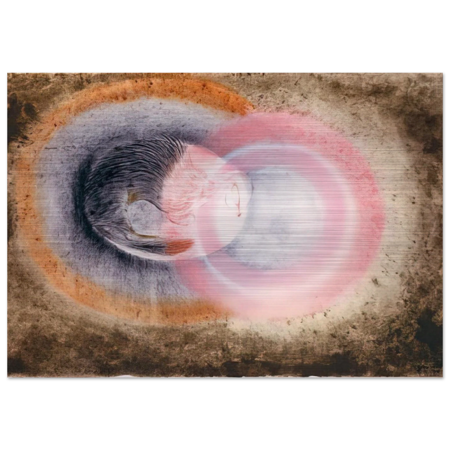 Hibernation - 1954 - Morris Graves Brushed Aluminum Print - 70x100 cm / 28x40 inches | Morris Graves Aluminum Print | Morris Graves Prints