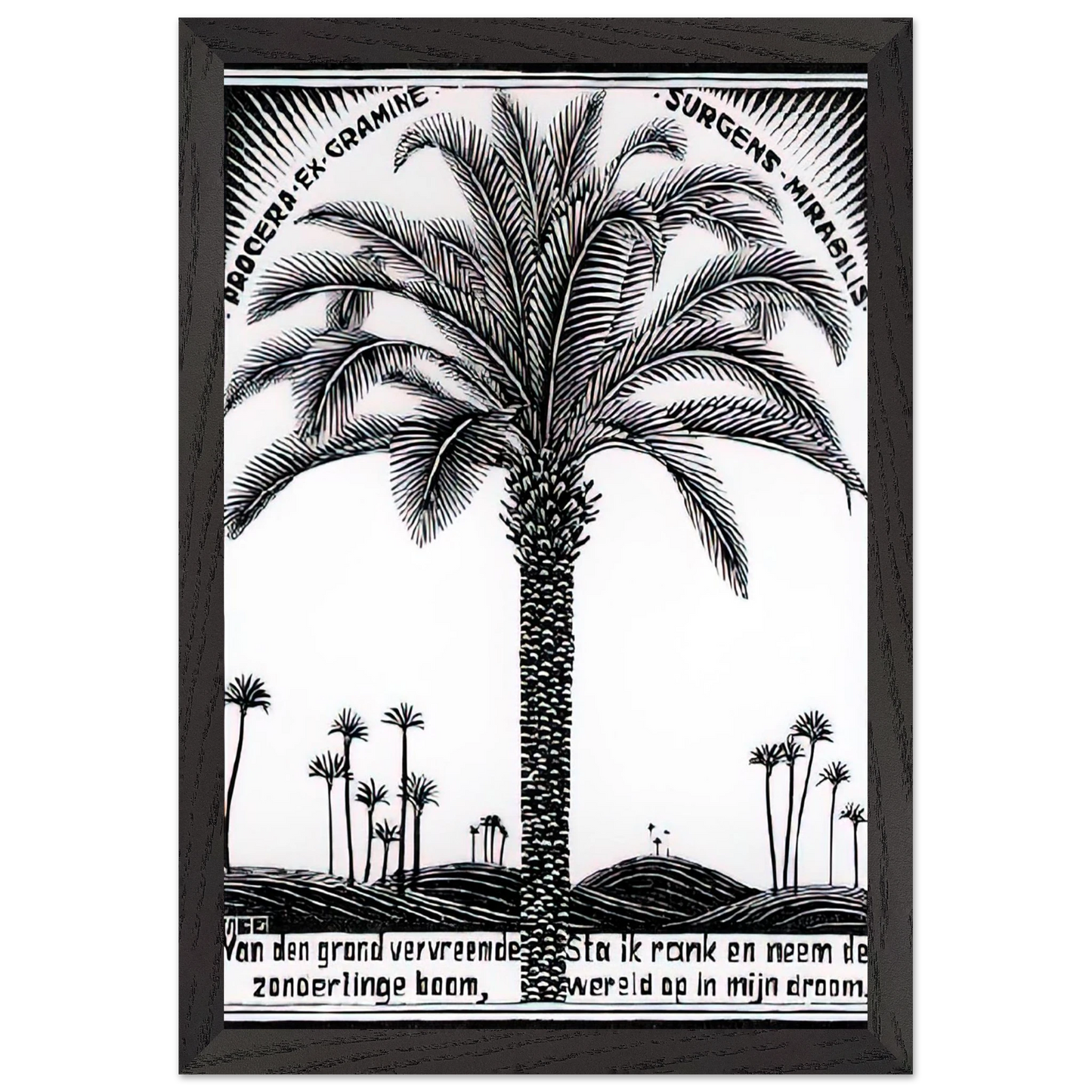 MC Escher - PALM TREE 1 Wall Art - 60x80 cm / 24x32 inches - Premium Wooden Framed Poster With Fine Art Paper-canvas - White frame