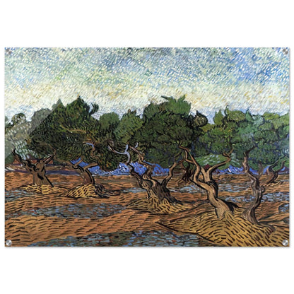 Olive Grove - Vincent van Gogh Acrylic Print - 70x100 cm / 28x40″ inches