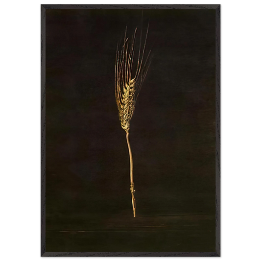 WHEAT EAR - Salvador Dali 70x100 cm / 28x40 inches Framed Art Print – Black Wooden Frame