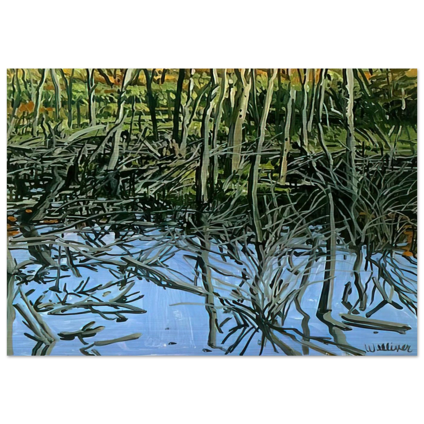 Study for Low Water - Knight's Flowage - 1980 - Neil Welliver Brushed Aluminum Print - 70x100 cm / 28x40 inches | Neil Welliver Aluminum Print | Neil Welliver Prints