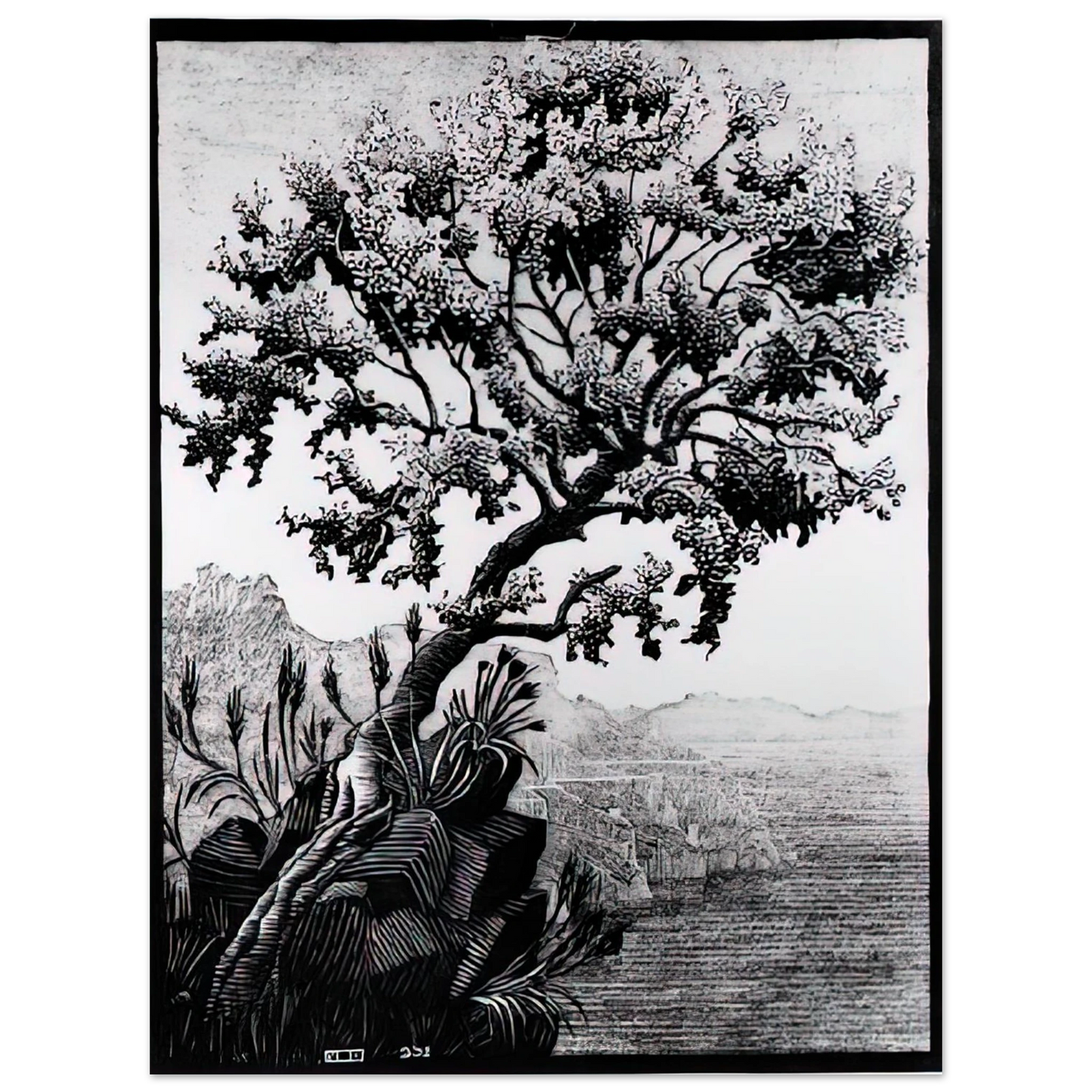 MC Escher - ESCHER (14) Wall Art - 30x40 cm / 12x16 inches - Fine Art Poster-canvas - -