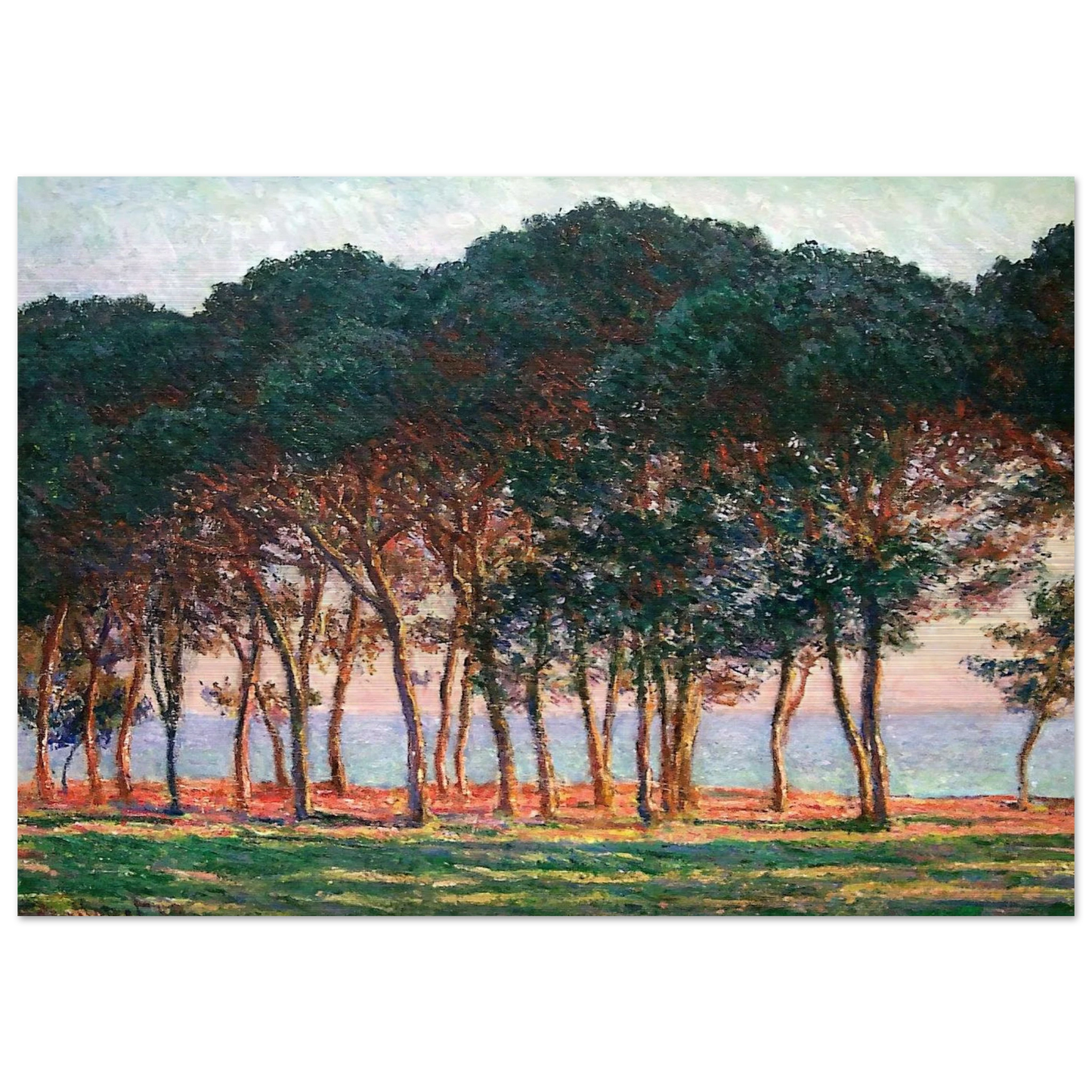 Under the Pine Trees at the End of the Day - claude monet Brushed Aluminum Print - 70x100 cm / 28x40 inches | claude monet Aluminum Print | claude monet Prints
