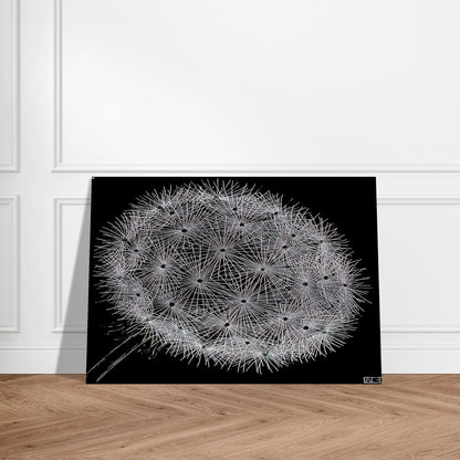 BLOWBALL II - MC Escher Brushed Aluminum Print - 70x100 cm / 28x40 inches | MC Escher Aluminum Print | MC Escher Prints | Maurits Cornelis Escher Prints