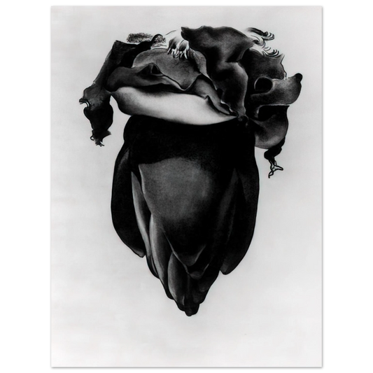 Georgia O'Keeffe - Banana Flower Fine Art Poster