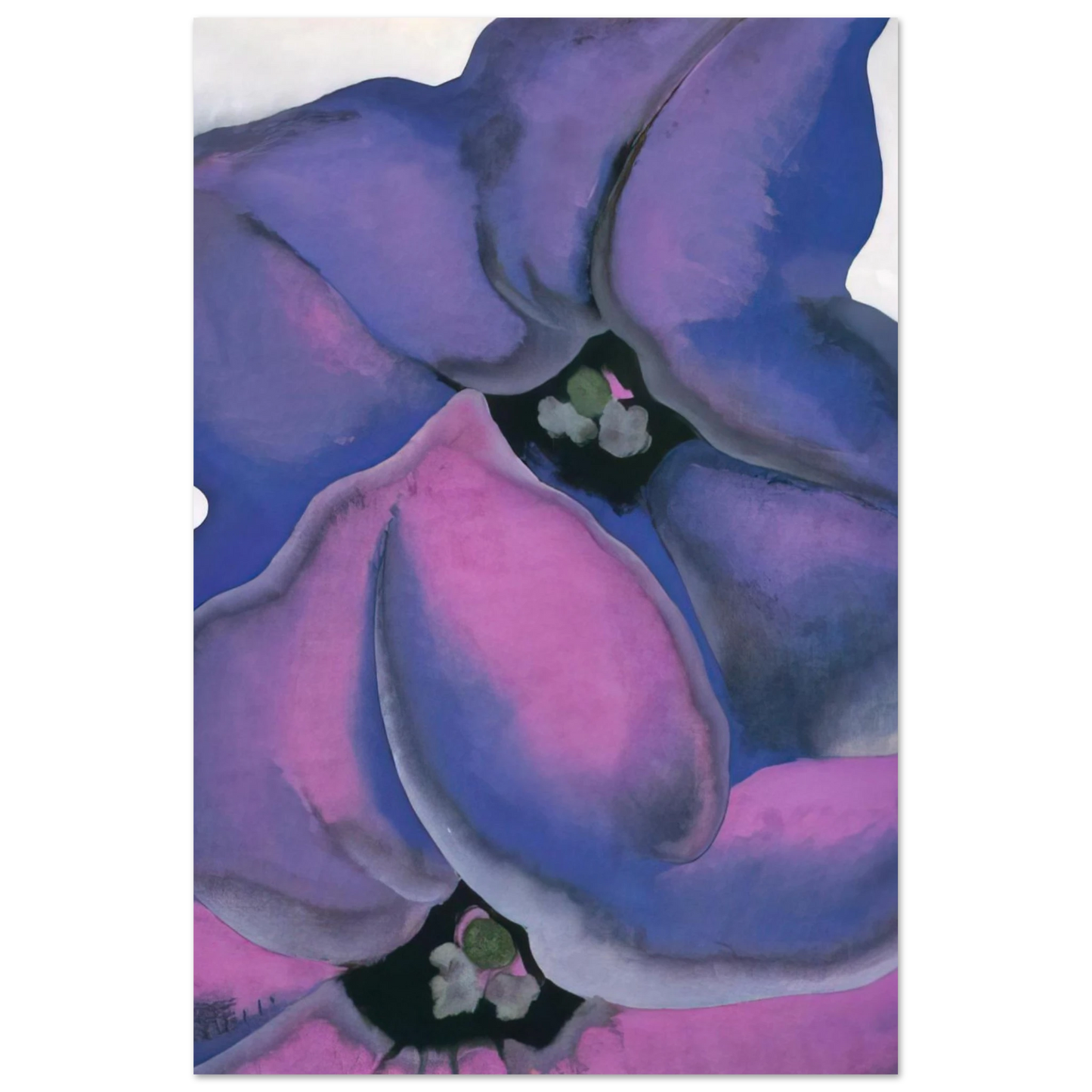 Georgia O'Keeffe - Purple Petunias Fine Art Poster