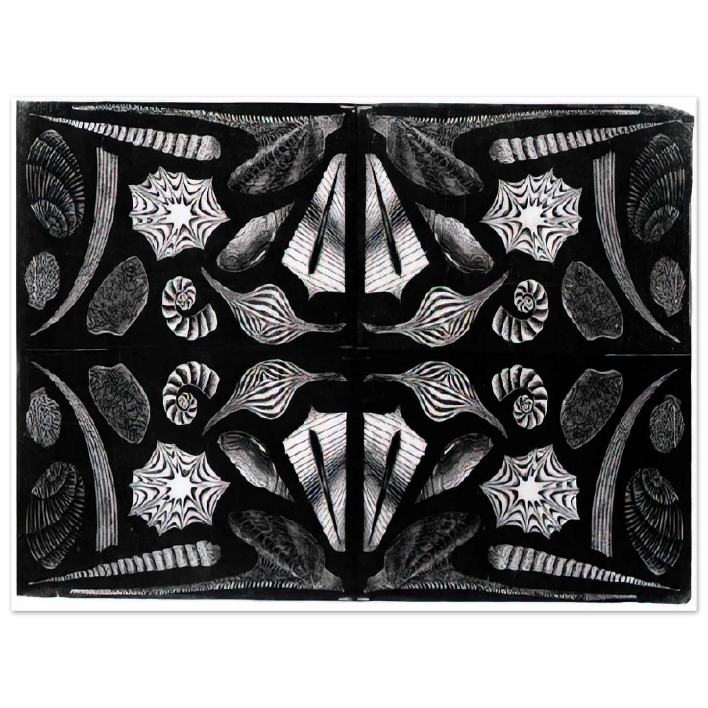 MC Escher - ESCHER (5) Wall Art - 21x29.7 cm / 8x12" - Fine Art Poster-canvas - -