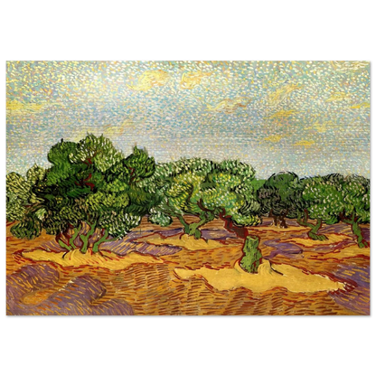 Olive Grove - Pale Blue Sky - Vincent van Gogh Brushed Aluminum Print - 70x100 cm / 28x40 inches | Vincent van Gogh Aluminum Print | Vincent van Gogh Prints
